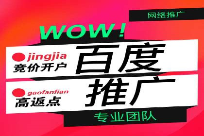 百度广告推广助力企业增长案例